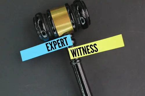 Expert Witness Concept